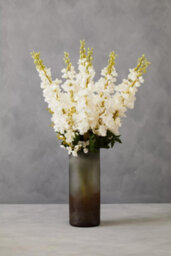 Orsina Delphinium Spike - 90Cm White, Elegant Faux Stem With Layered White Blossoms And Tall Green Stalk - thumbnail 3