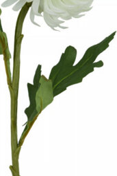 Orsina Chrysanthemum Stem - 84Cm White, Realistic Faux Flower With Delicate Petals And Green Stem, Adds Elegance - thumbnail 8