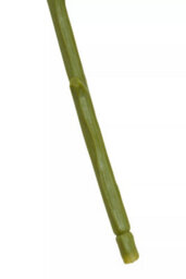Orsina Chrysanthemum Stem - 84Cm White, Realistic Faux Flower With Delicate Petals And Green Stem, Adds Elegance - thumbnail 7
