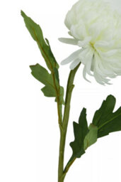 Orsina Chrysanthemum Stem - 84Cm White, Realistic Faux Flower With Delicate Petals And Green Stem, Adds Elegance - thumbnail 6