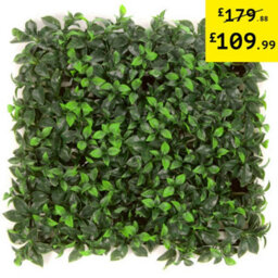 Pack Of 12 Best Artificial Laurel Leaf Hedging Mats 50Cm X 50Cm (3 Square Metres) Artificial Plant Privacy Garden Screen - thumbnail 1