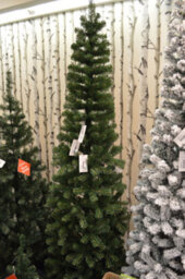 Samuel Alexander 7.5Ft (2.2M) Green Spruce Pencil Pine Christmas Tree With Metal Stand - thumbnail 2