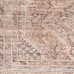 Livabliss Amelie-Washable Light Brown Traditional Vintage Boho Living Dining Rug 160 X 220 Cm Easy Care, Non Shedding - thumbnail 7