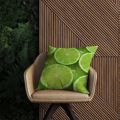 Warren Reed Designer Fresh Limes Outdoor Cushion 60Cm X 60Cm