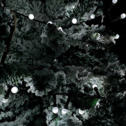 Samuel Alexander 7.5M Frosted Berry Christmas Lights With 300 Leds In White - thumbnail 5