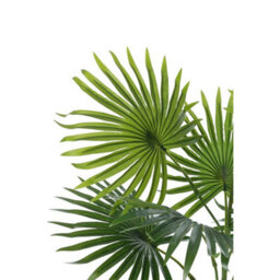 Large Fake Artificial Tree Indoor Home House Plant Bamboo Tree 65Cm Tall In Pot - thumbnail 3