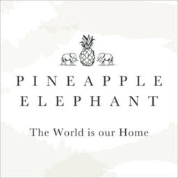 Pineapple Elephant Tamba Jersey Stripe Oxford 50X75Cm + Border Pack Of 2 Pillow Cases With Envelope Closure Natural - thumbnail 4
