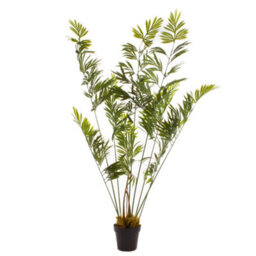 Scottish Everlastings Ltd. Scottish Everlastings Artificial 180Cm Real Touch Cycad Palm Tree - thumbnail 2
