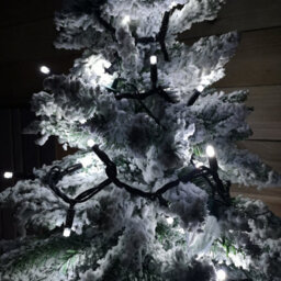 Samuel Alexander 100 Led 8M Premier Christmas Connectable Outdoor Static Lights In Cool White - thumbnail 5