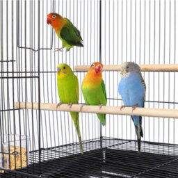 Yaheetech Black Bird Cage Flight Cage Extra Space W/ Slide-Out Tray And Wood Perches - thumbnail 7