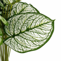 Leaf 60Cm Artificial Caladium Style Stem Plant Variegated Green White Faux Foliage Arrangement - thumbnail 3