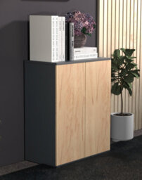 Vcm Chest Of Drawers Sideboard Dalosa 2 Revolving Doors - thumbnail 4