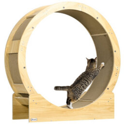 Pawhut Cat Treadmill With Brake, Scratching Pads For Indoor Cats, Oak Tone - thumbnail 2