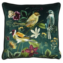 Evans Lichfield Midnight Garden Velvet Piped Feather Filled Cushion - thumbnail 1