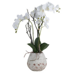 Wyld Haus White Orchid Artificial Plant In Stone-Effect Pot - thumbnail 1