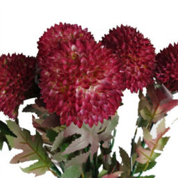 Leaf Pack Of 6 X 70Cm Large Ball Dahlia Artificial Flower Stem Pink - thumbnail 6