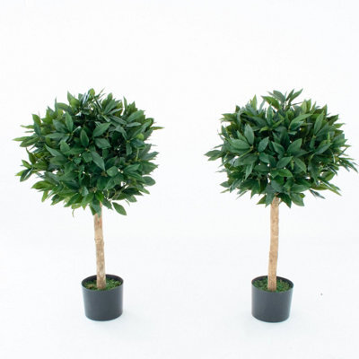 GreenBrokers Artificial Bay Laurel Trees (Set Of 2) With Real Wood Trunk, Natural Leaf And Brown Berries, 3Ft/90 Cm - image 1