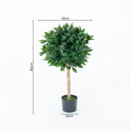 GreenBrokers Artificial Bay Laurel Trees (Set Of 2) With Real Wood Trunk, Natural Leaf And Brown Berries, 3Ft/90 Cm - thumbnail 3