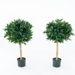 GreenBrokers Artificial Bay Laurel Trees (Set Of 2) With Real Wood Trunk, Natural Leaf And Brown Berries, 3Ft/90 Cm