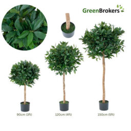 GreenBrokers Artificial Bay Laurel Trees (Set Of 2) With Real Wood Trunk, Natural Leaf And Brown Berries, 3Ft/90 Cm - thumbnail 4