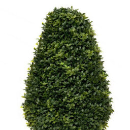 GreenBrokers 2 X Artificial Premium Quality Topiary Boxwood Cone Shaped Plants In Black Pots For Indoor Outdoor Decor, Uv Stable (20In/70Cm) - thumbnail 5