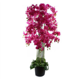Leaf 150Cm Giant Pink Orchid Plant - Artificial - 189 Flowers Real Touch