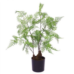Leaf Faux 60Cm Natural Moss Base Fern Foliage Plant