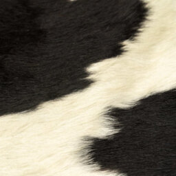 Berkfield Real Cowhide Rug Black And White 180X220 Cm - thumbnail 3