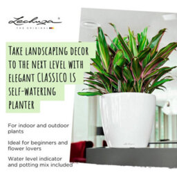 Lechuza Classico 28 Ls Black High-Gloss Plastic Self-Watering Planter With Substrate And Water Level Indicator D28 H26 Cm - thumbnail 2