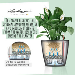 Lechuza Classico 28 Ls Black High-Gloss Plastic Self-Watering Planter With Substrate And Water Level Indicator D28 H26 Cm - thumbnail 3
