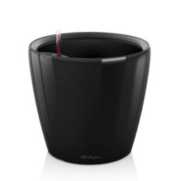 Lechuza Classico 28 Ls Black High-Gloss Plastic Self-Watering Planter With Substrate And Water Level Indicator D28 H26 Cm