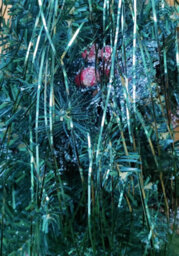 Decoris 4 X Pine Green Lametta Foil Tinsel Garland Strand Christmas Tree Decor 50X40Cm - thumbnail 4
