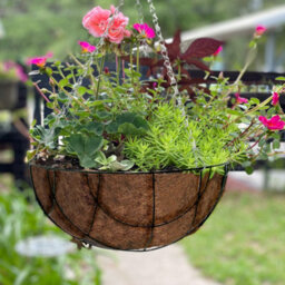 Set Of 2 Hanging Basket Flower Plant Metal Planter Flowerpot Decoration Garden 12 Inch - thumbnail 2