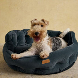 Joules Chesterfield Dog Bed, Grey, Soft Velvet Fabric, Thickly Padded, Machine Washable, 70Cm Diameter, Large - thumbnail 6