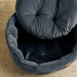 Joules Chesterfield Dog Bed, Grey, Soft Velvet Fabric, Thickly Padded, Machine Washable, 70Cm Diameter, Large - thumbnail 5