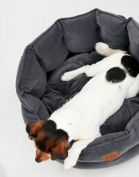 Joules Chesterfield Dog Bed, Grey, Soft Velvet Fabric, Thickly Padded, Machine Washable, 70Cm Diameter, Large - thumbnail 3