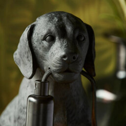 Loops Charming 2 Pack Matt Black Labrador Puppy Table Lamps For Dog Lovers - thumbnail 5