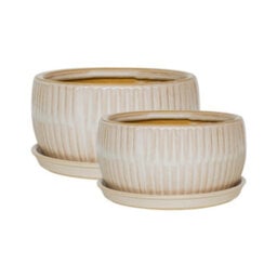 Ivyline White Round Bonsai Planter Set Of 2 - thumbnail 2