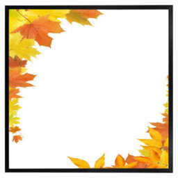 "Andrew Lee Yellow Autumn Border (Picutre Frame) / 12X12"" / Oak" - thumbnail 8