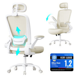 LEDREM Office Chair, Ergonomic Mesh Chair With Mesh Back For Desk, Foldable Armrests, Adjustable Lumbar Support And Headrest - thumbnail 5