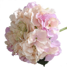 Artificial Silk Hydrangea Stem, Blush Pink. H42 Cm. - thumbnail 1