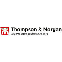 Thompson & Morgan Petunia Frills & Spills Preplanted Hanging Basket/potted Plant 14Inch (35Cm) - thumbnail 3