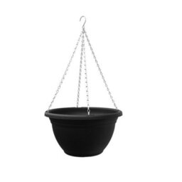 Thompson & Morgan Petunia Frills & Spills Preplanted Hanging Basket/potted Plant 14Inch (35Cm) - thumbnail 2