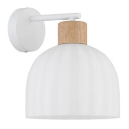 Luminosa Lighting Luminosa Swanson Dome Wall Lamp Matt White, Glass Opal Shades, E27 - thumbnail 3