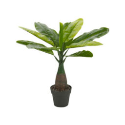 Urbn-Living Feather Leaf, Set Of 2 - Artificial Faux Palm Tree -1-2 Pack - thumbnail 5