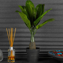 Urbn-Living Feather Leaf, Set Of 2 - Artificial Faux Palm Tree -1-2 Pack - thumbnail 6