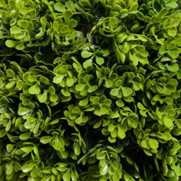 Homcom Potted Artificial Plants Boxwood Ball Topiary Trees Indoor Outdoor, 90Cm - thumbnail 8