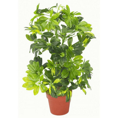 Leaf 75Cm Artificial Arboricola Gold Capella Natural Plant - image 1