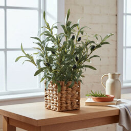 Madison & Mayfair 43Cm Olive Tree In Wicker Basket
