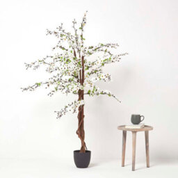 Homescapes Artificial White Handcrafted Blossom Tree With Silk Flowers, 5 Ft - thumbnail 6